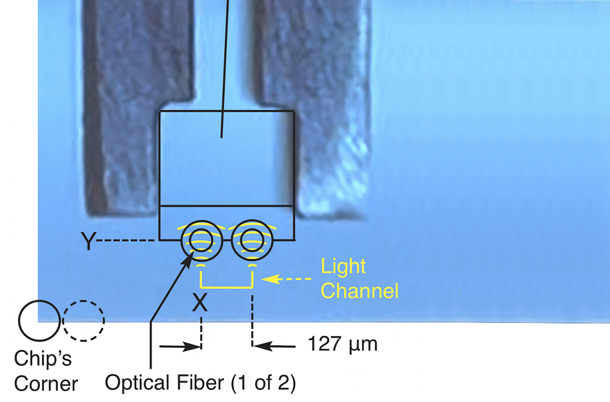 Paired fibers on one glass block at 127 micron pitch